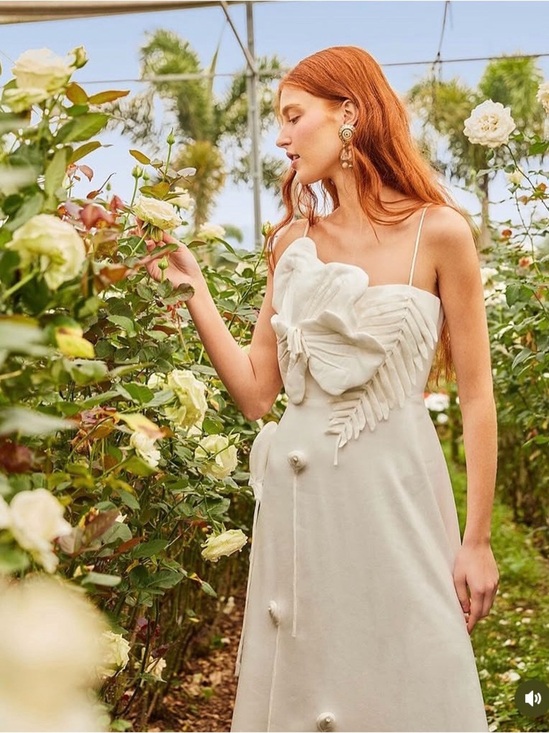 FARM Rio Dresses & Skirts - Farm Rio's Garden midi-dress